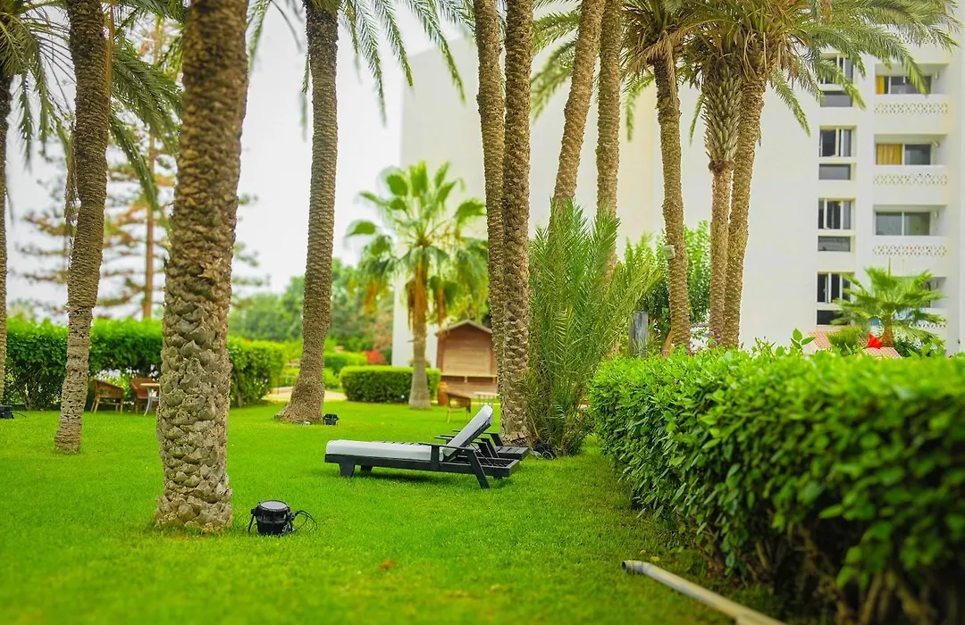 Hamilton Agadir-1